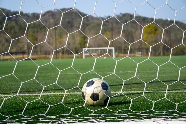 也引起了国 也引起了国