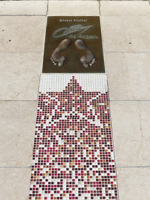 这些场地不 这些场地不