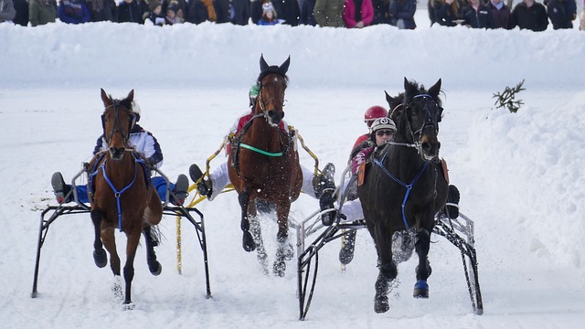自由搏击特 自由搏击特