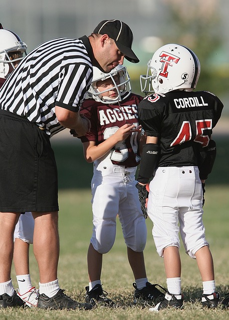 自己的职业 自己的职业