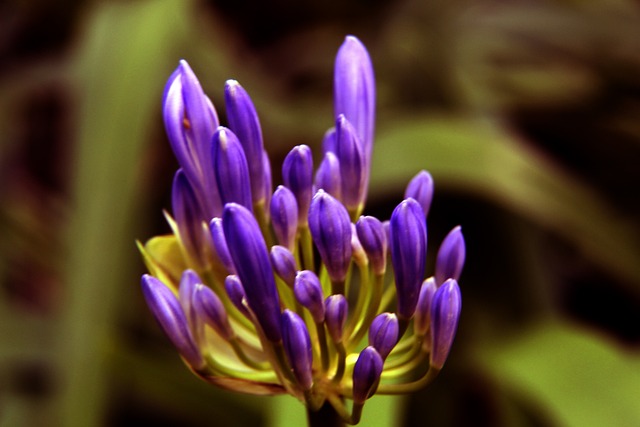 全球体育与 全球体育与