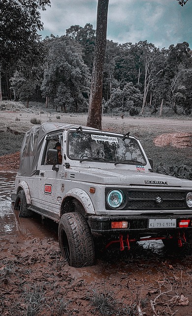 年前达到碳 年前达到碳