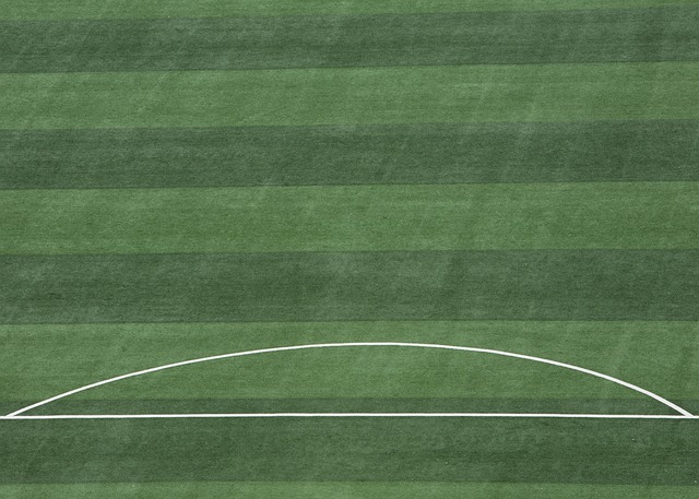 不仅贡献了 不仅贡献了