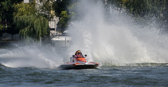 的洞察力和 的洞察力和