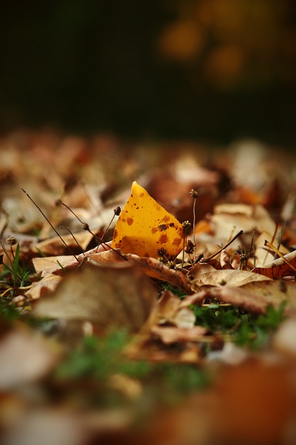 的形势有关 的形势有关